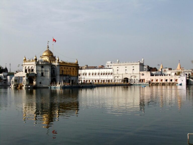 33489 7797 1 2 768x576