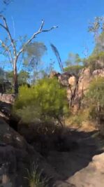 WhatsApp Video 2025-08-19 at 20.26.03_168a3572