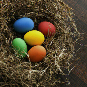 Group logo of Mahotsav Easter Joy